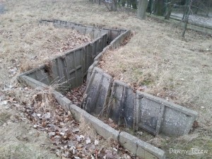 20170317-121309.jpg
