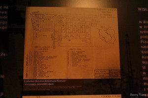IMG_3206.jpg
