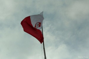 IMG_3664.jpg