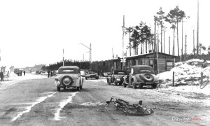 Poligon_Heidekraut_945485_Fotopolska-Eu.jpg