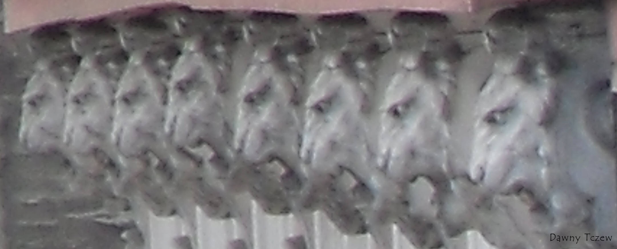 SDC11641.jpg