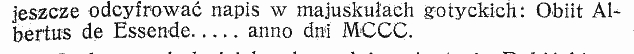 fara-kamien2.jpg