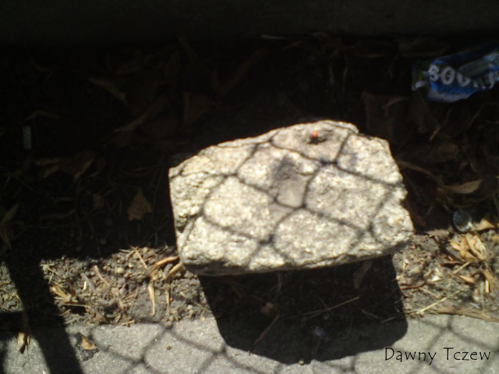 kamień.jpg