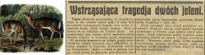 Dziennik Bydgoski  24 maja 1935.jpg