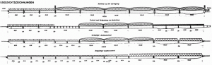 tcz114.gif