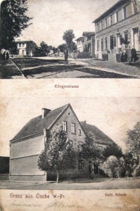 1166532.jpg