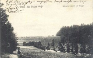 Tlen_1165127_Fotopolska-Eu.jpg