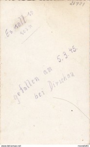 743_002.jpg