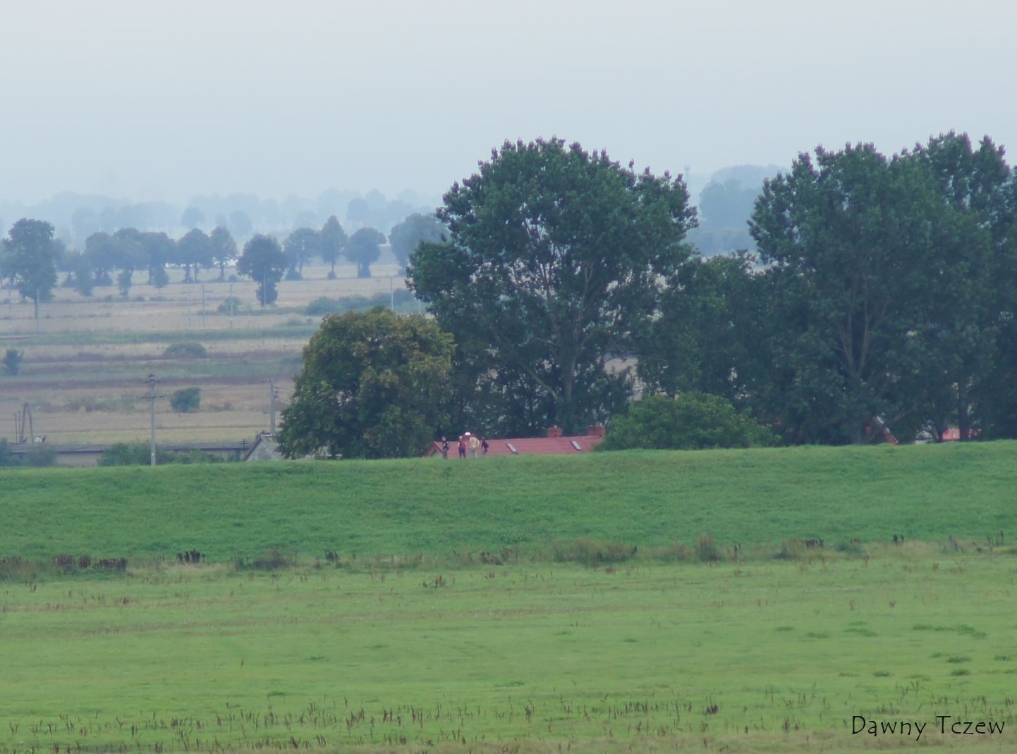 specerowicze.jpg