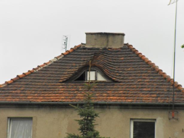 SDC17718.JPG