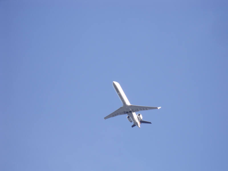 DSCF1254.jpg