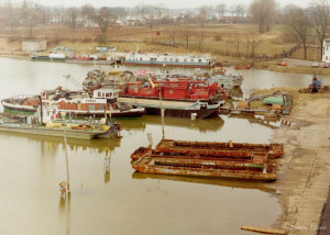 koszarka Oliwia.jpg