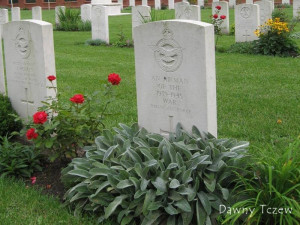 MalborkCWGC009.jpg