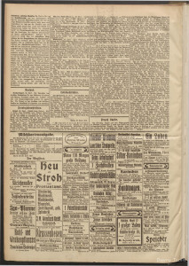 Die Presse 1917, Jg. 35, Nr. 148 Zweites Blatt.jpg