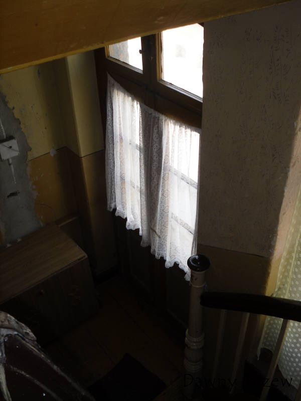 SDC11294.jpg