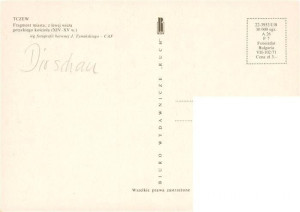 Tczew Dirschau Westpreussen PL Fragment miasta z lewej wieza gotyckiego kosciola (2).jpg