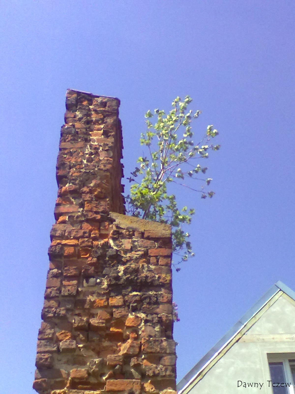 20110511027.jpg