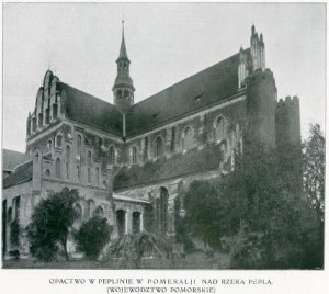OPACTWO W PEPLINIE.jpg