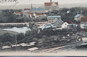 Pommern - AK 1903 - Pelplin - Totalansicht mit Bahnschienen (2).jpg