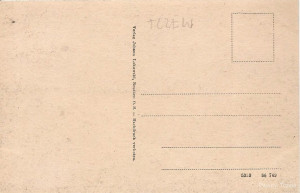Dirschau (Westpr.), Partie aus dem Stadtpark mit Wasserturm (2).jpg