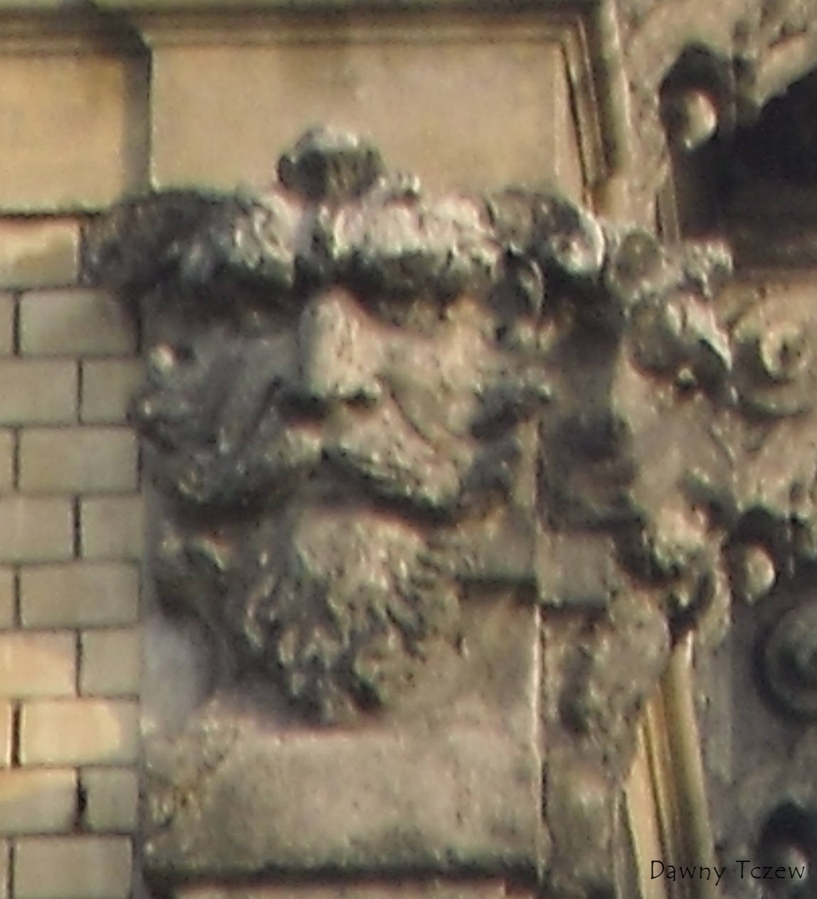 SDC13047.jpg