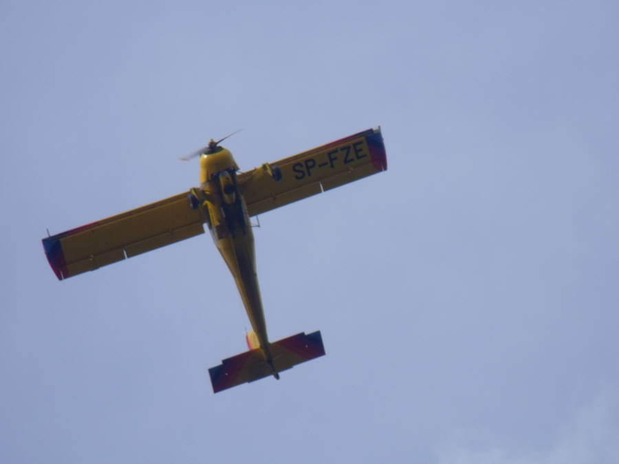DSCF6126.jpg