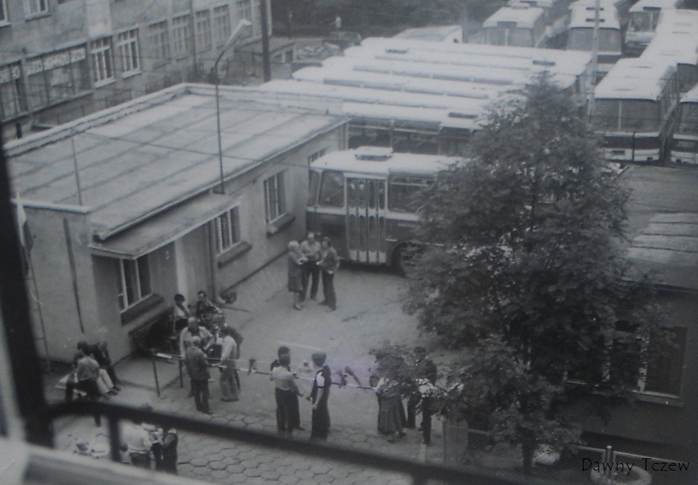 SDC11991.jpg