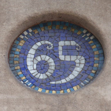 65.jpg