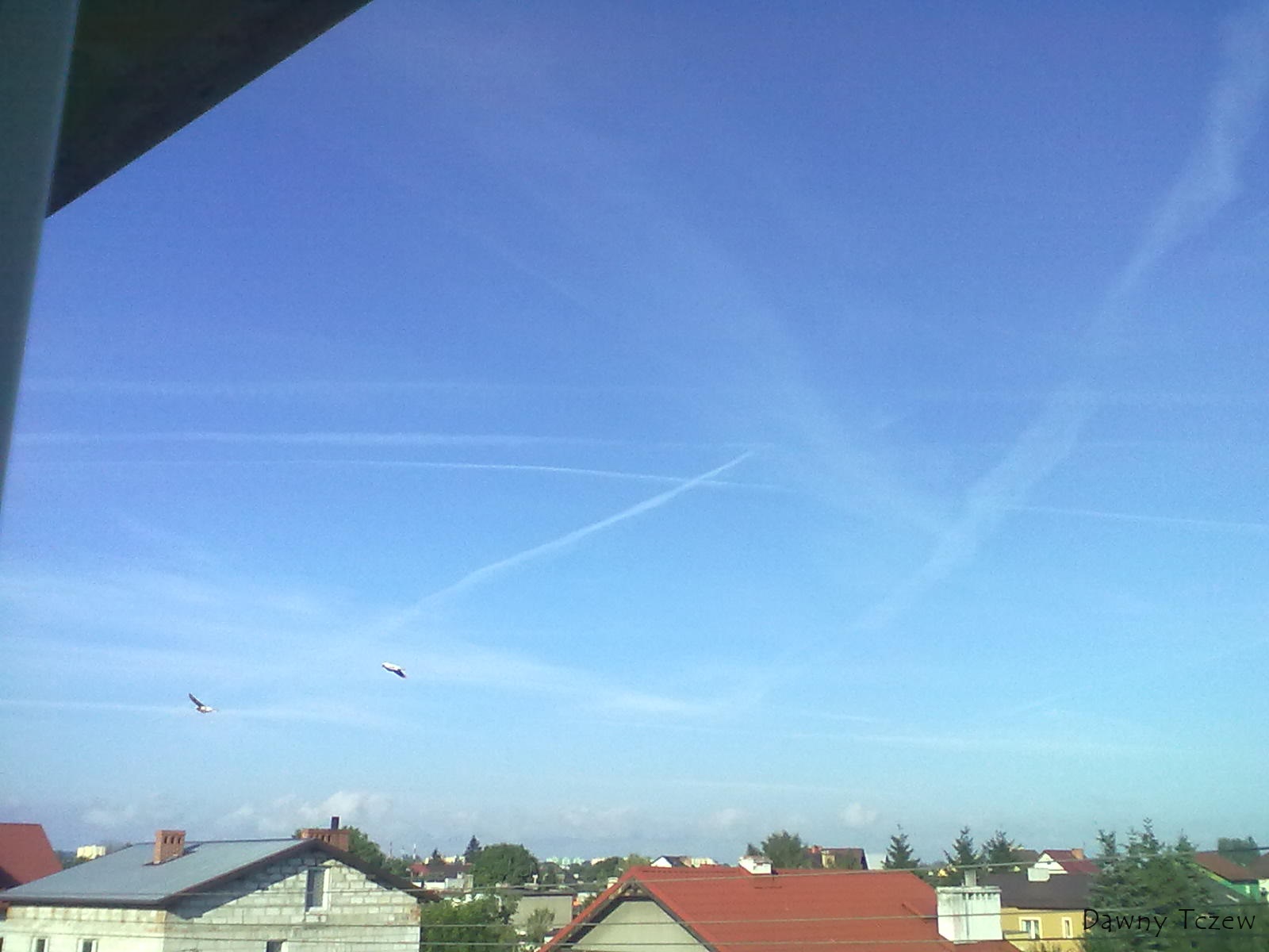 20110802279.jpg