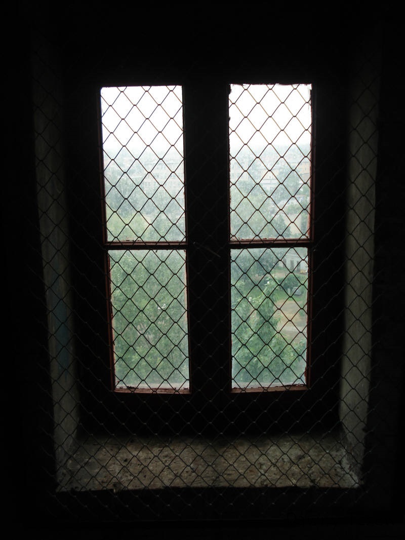 DSC00051.jpg