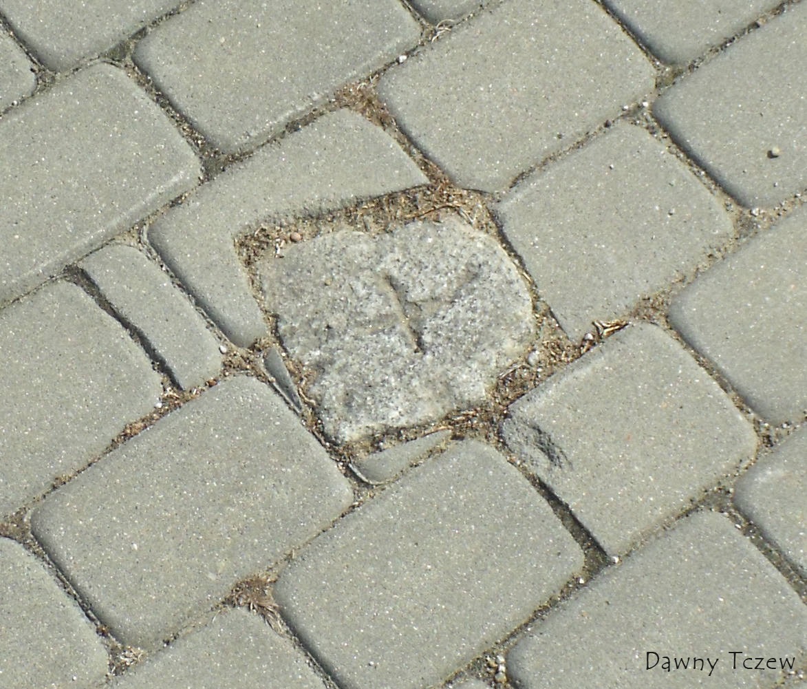 DSCF6750.jpg