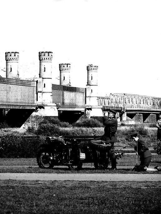 tcz6.jpg