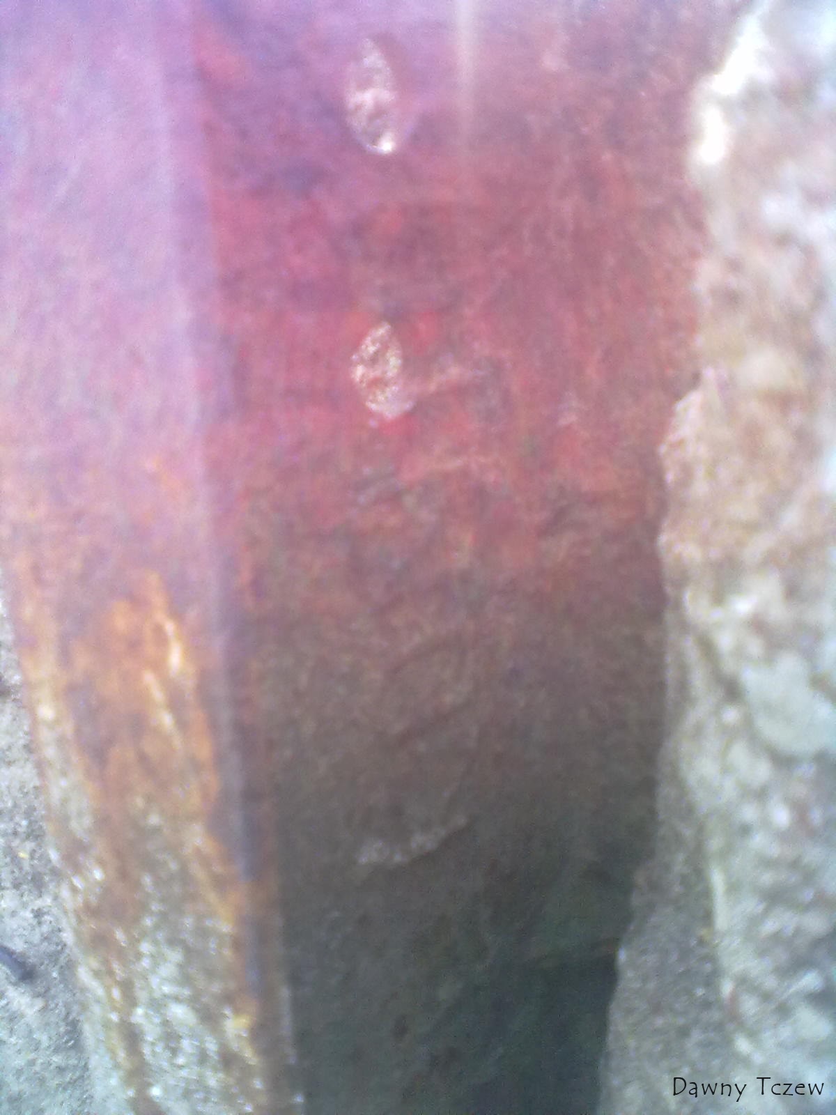 20110901533.jpg