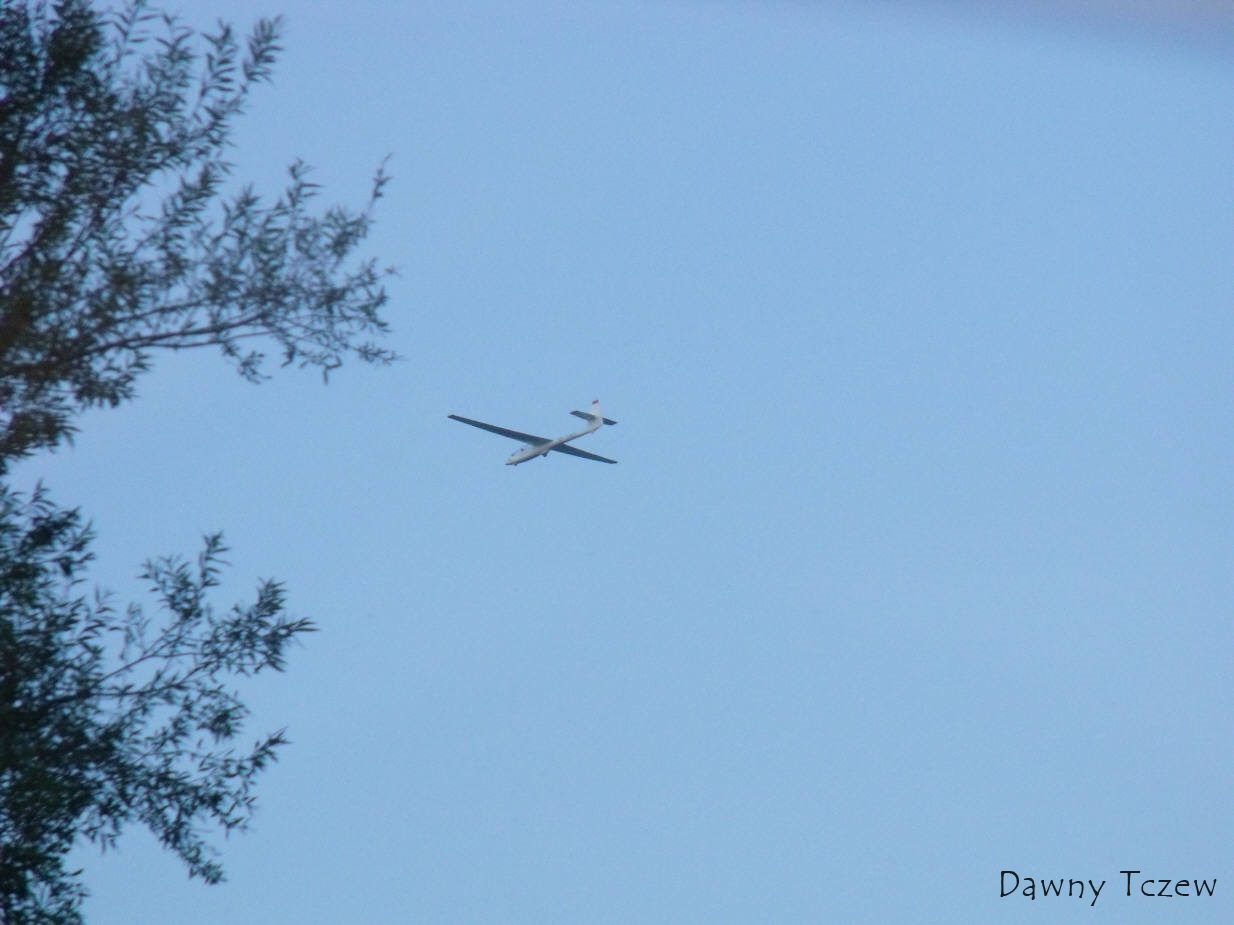 DSCF6980.jpg