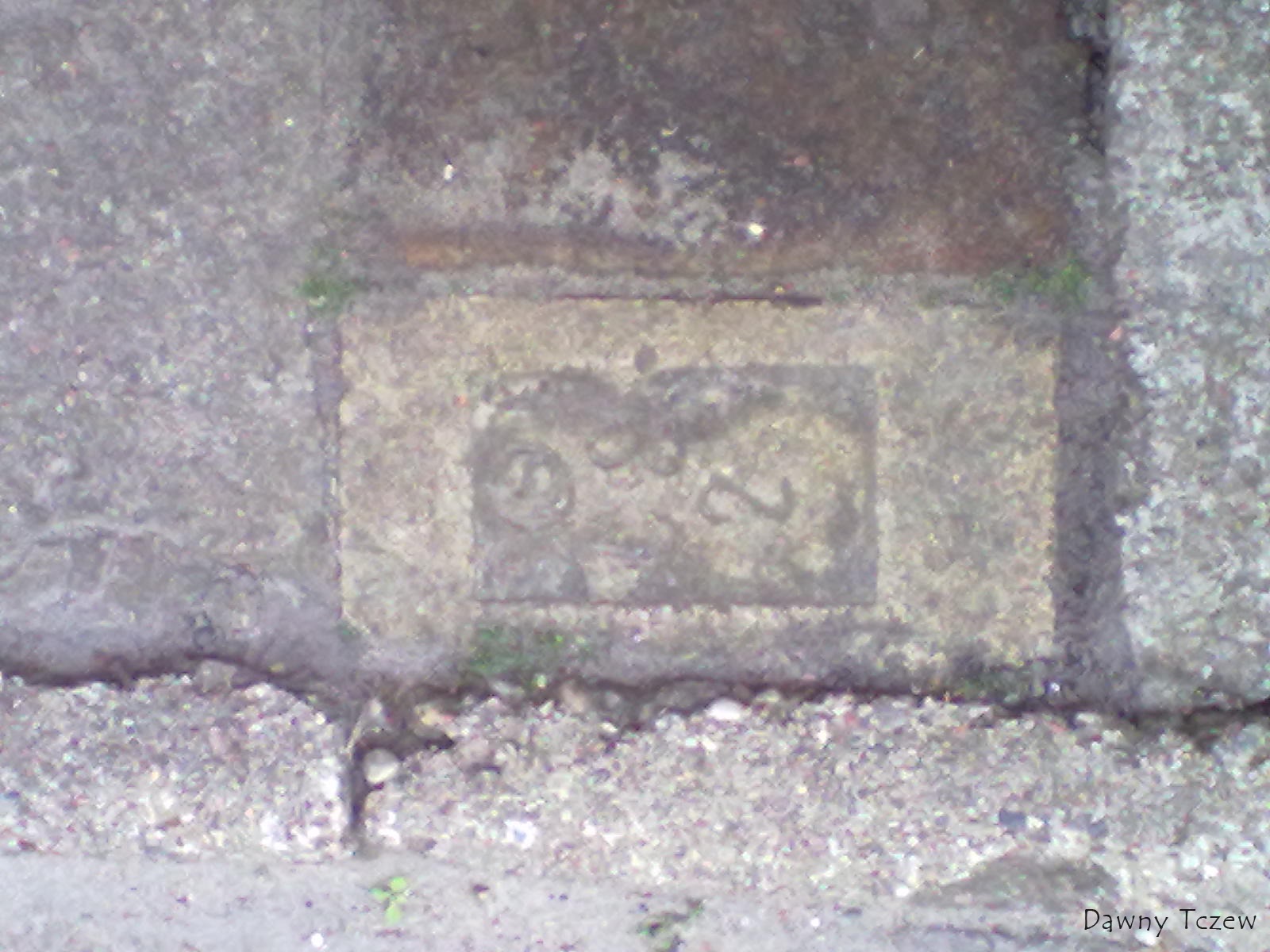 20110905563.jpg