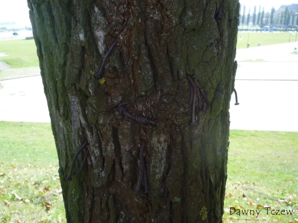 drut.jpg