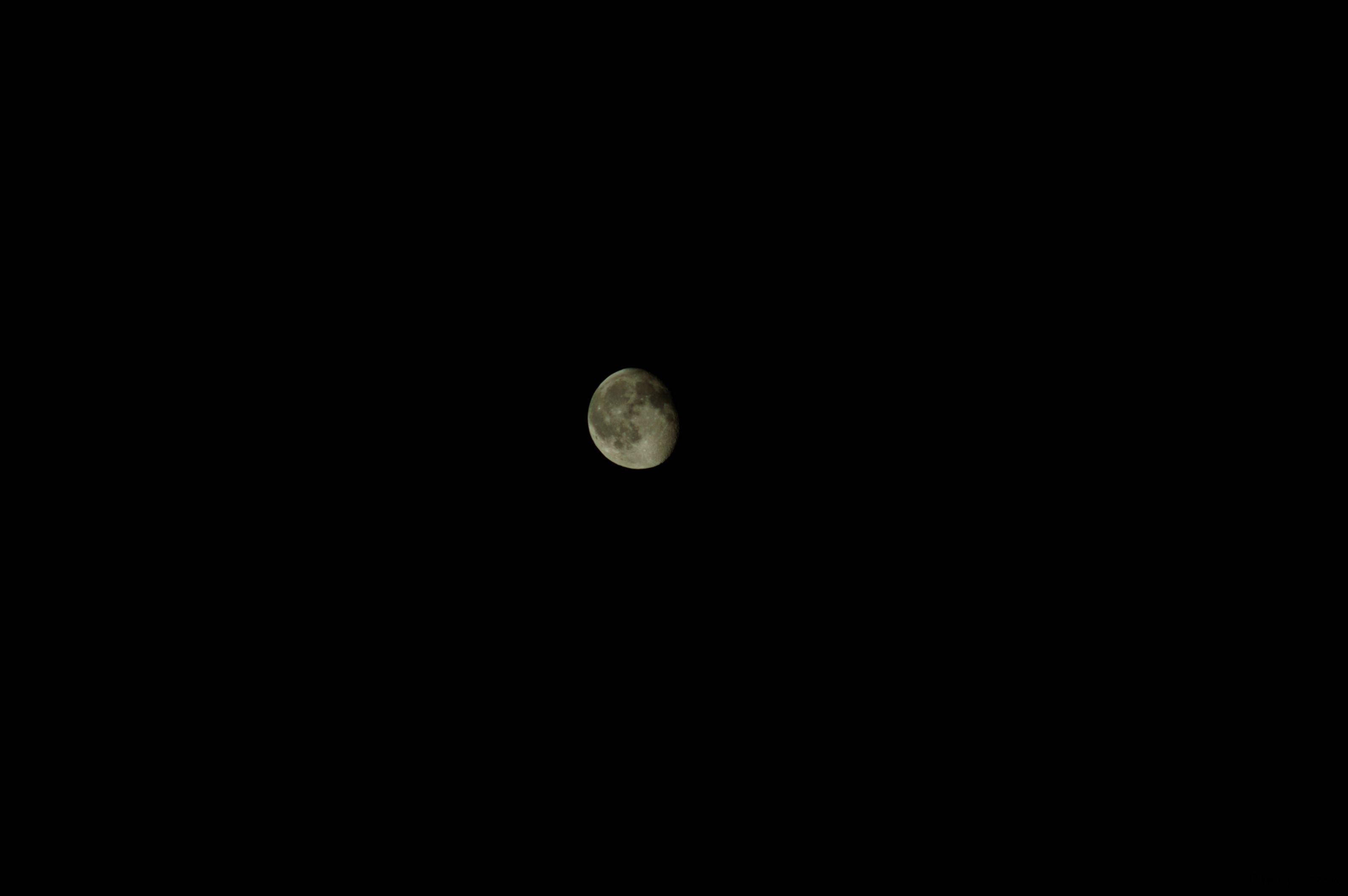DSC02425.jpg