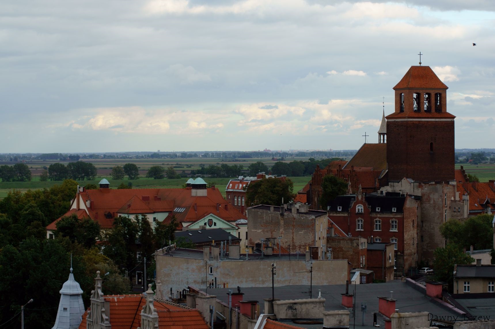 DSC02228.jpg