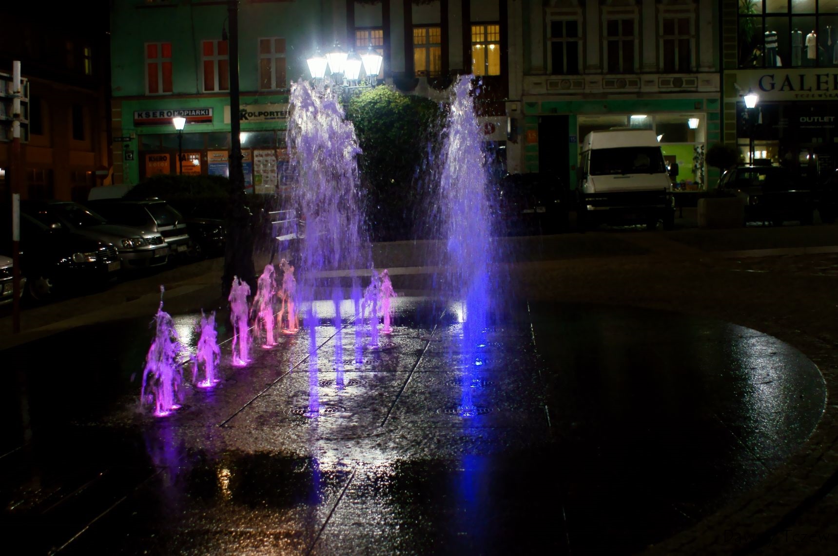 DSC02410.jpg