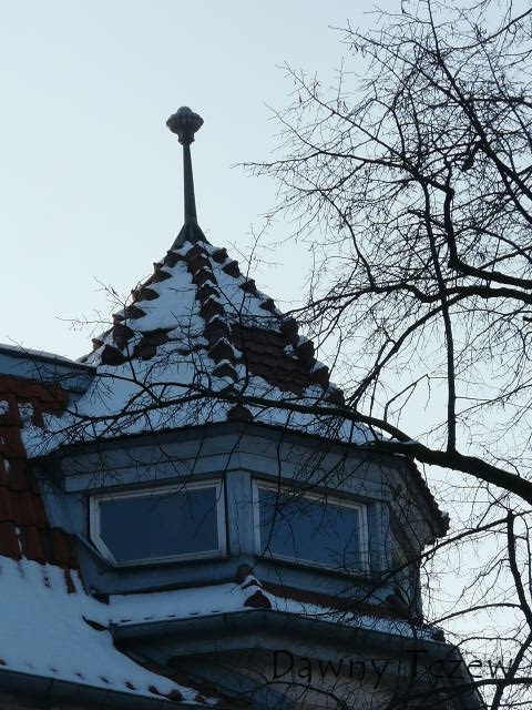 P1040651.JPG