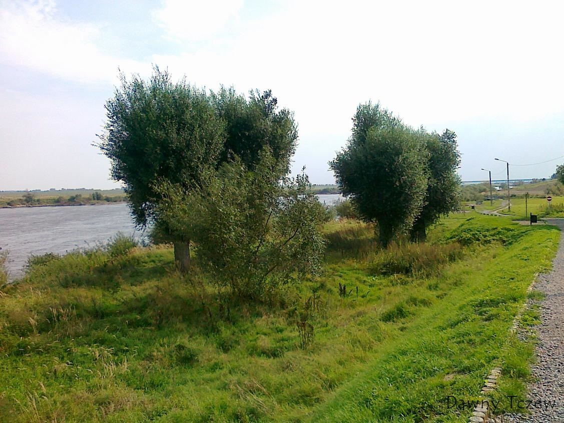 20110918637.jpg