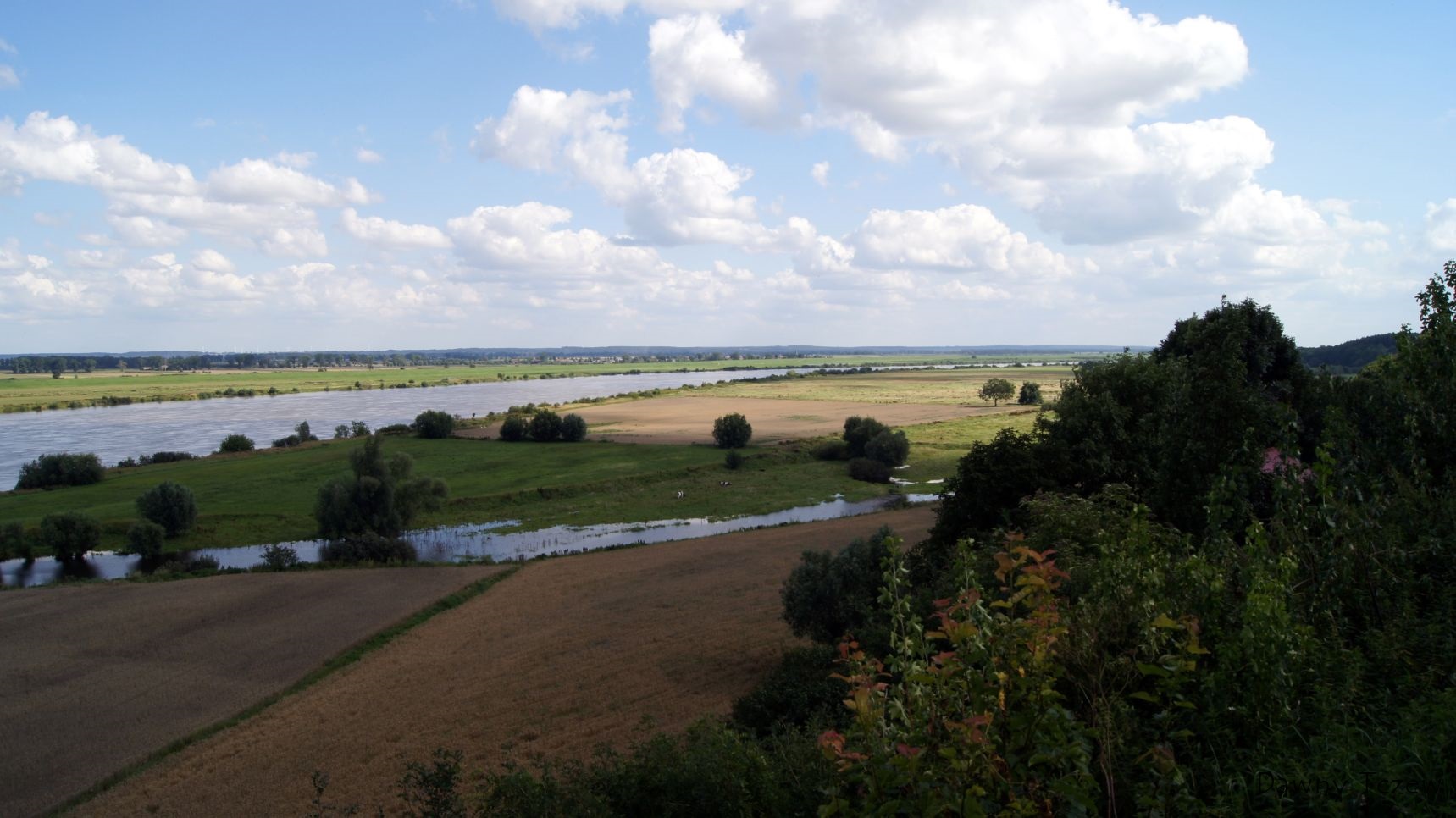 DSC00726.jpg