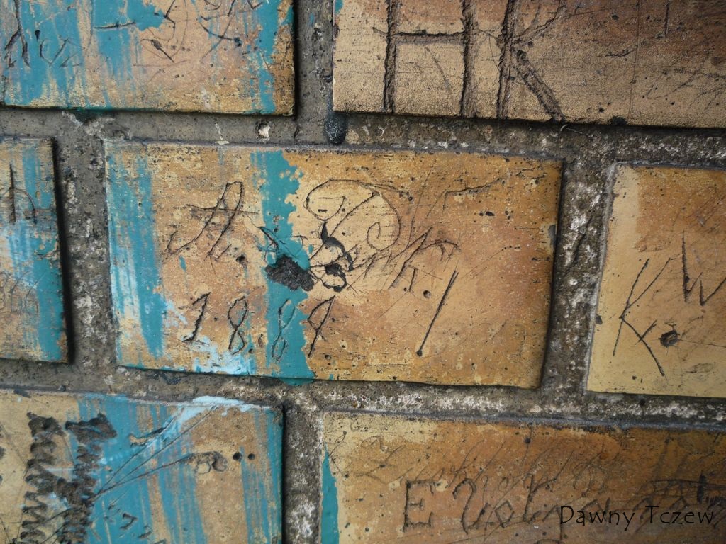 P1050831.jpg