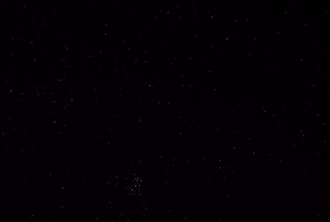 DSC02485f.jpg