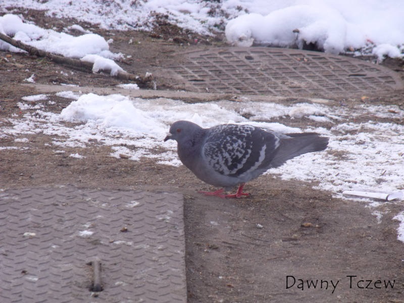 DSCF1424.jpg