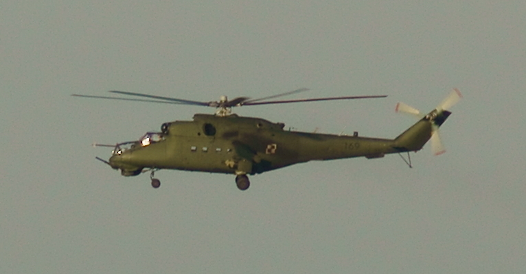 DSC02637-1.jpg