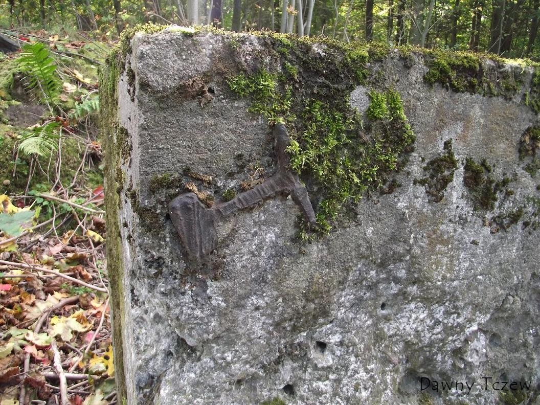 DSCF2895.JPG