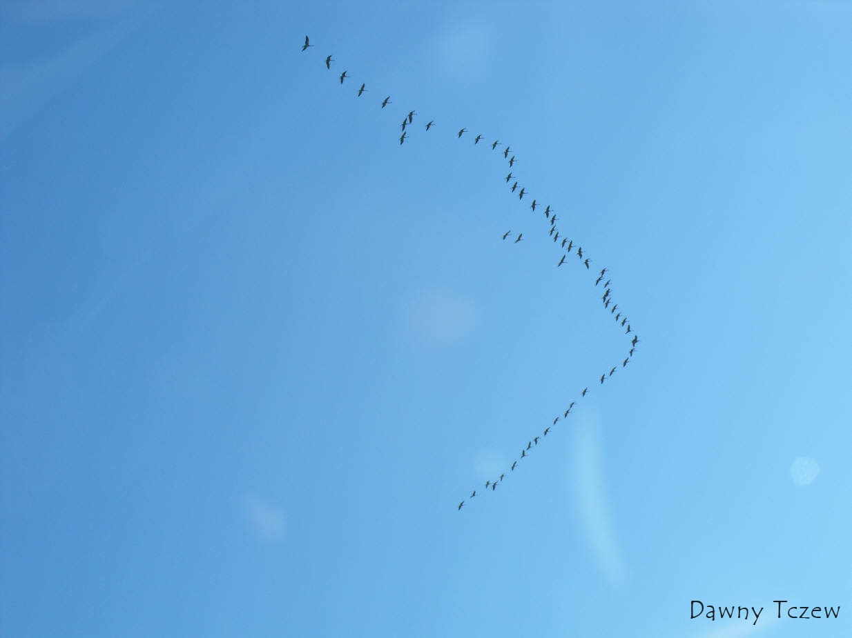 DSCF7570.jpg