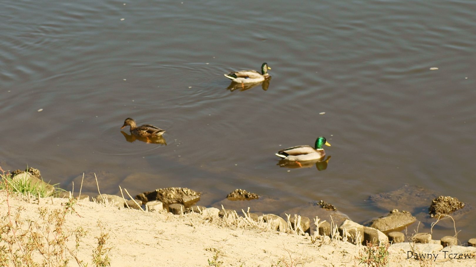 DSC02672.jpg