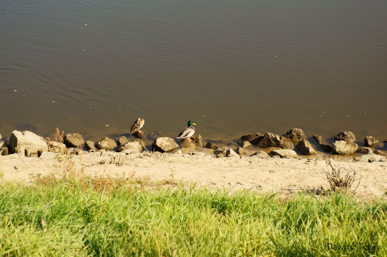 DSC02669.jpg